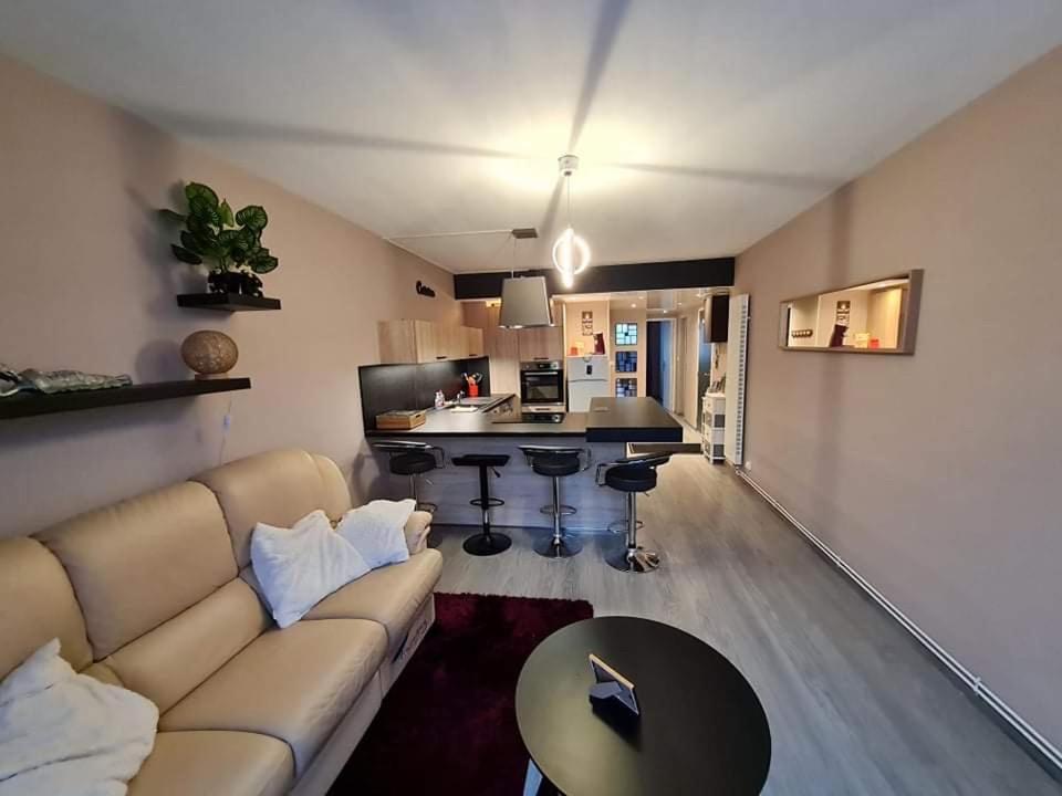 Chez Romain, Appartement Proche Commerces Et Centre Ville Avec Wifi Verdun-sur-Meuse Luaran gambar